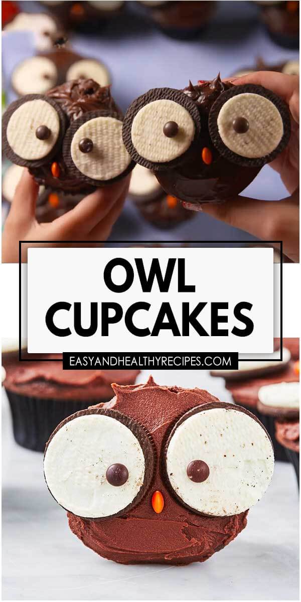 -Owl-Cupcakes2